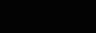 ALIEN Hack - ������ � ����� ��������